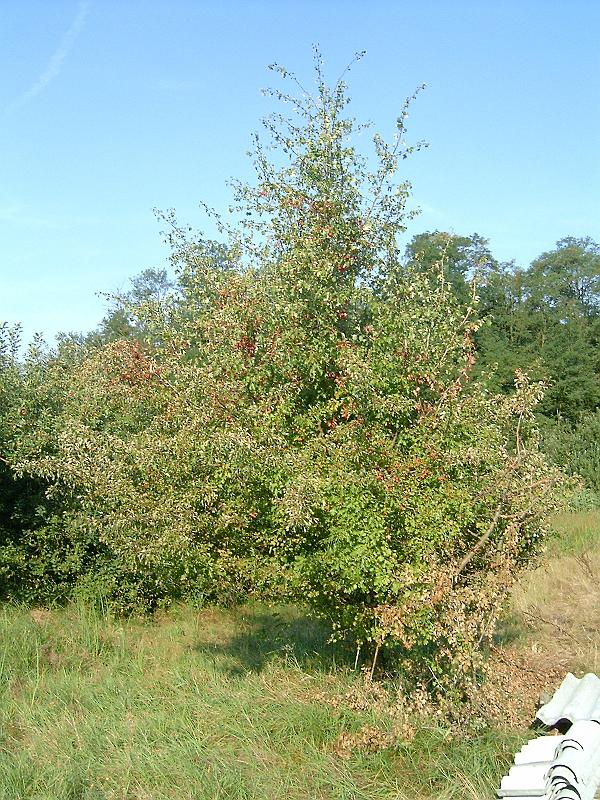 2009.08.22 003.jpg